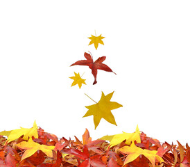 leaf leaves isolated falling for background 