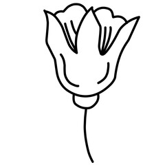 Hand Drawn Leaf Sketch Outline 