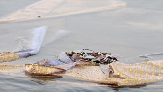 A mudskipper crawls around a pile of coins on the seabed , Thailand