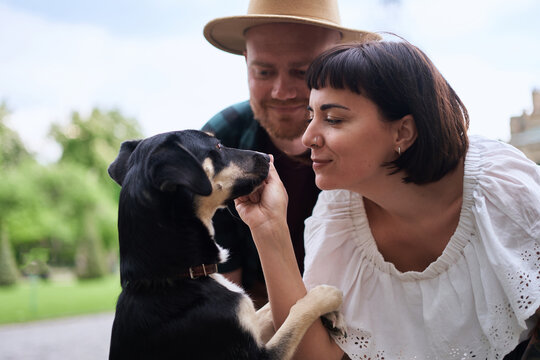 Happy young couple feeding their rescued dog in old city background in summer. Women with black hair and man in a hat, cute young modern couple with a rescued dog. High quality photo