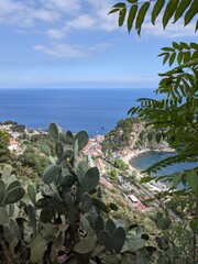 Prickly pears with a view on the mediterranean sea in taormina, sicily.