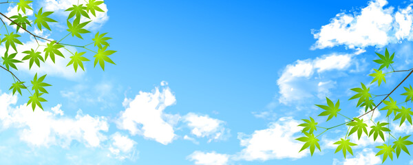 Obraz na płótnie Canvas 雲が美しい夏の空と青もみじの背景イラスト