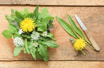 frisch Wildkräutersalat Salat Wildkräuter Brett Tisch