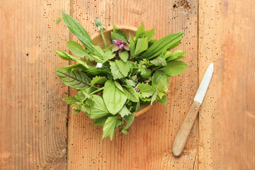 Grün Wildkräuter Salat Wildkräutersalat Schale Tisch Brett