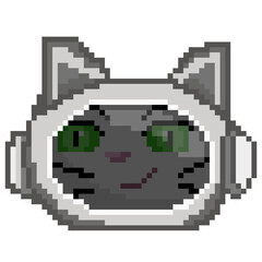 pixel art space cat