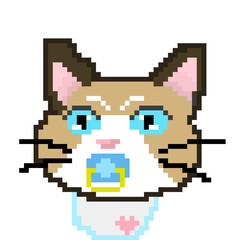 Fototapeta premium pixel art baby cat