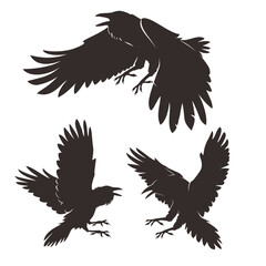 crow vector set