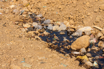 Plastic bags garbage in dry canal water pollution unhealthy in the city.