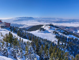 Incredible winter landscape with snowcapped spruce trees under bright sunny light in frosty morning, beautiful alpine panoramic view snow capped mountains in background. Ski resort, Brasov, Romania