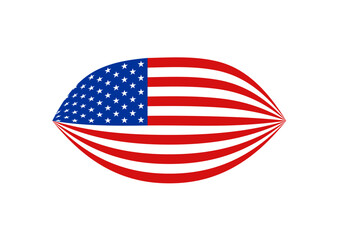 USA Flag14