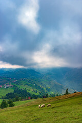 Rural idyllic landscape of the small villages in the Rucar-Bran mountain area, Brasov, Romania, scattered on the wooded hills, with the Bucegi mountains in the background, in wonderful springtime day