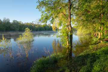 Fototapeta premium lake in the woods