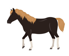 Horse vector illustration in flat design 