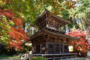 Fototapeta premium 紅葉