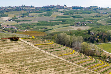 Fototapeta na wymiar Panorami delle Langhe (Grinzane Cavour, Piemonte)
