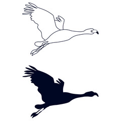Vector illustration of flamingo silhouette.