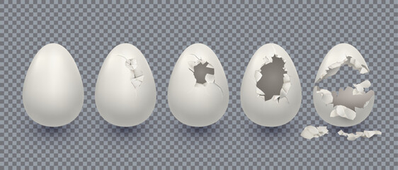 3d broken egg, chicken shell. Isolated break or open eggshell animal bird peel, empty and fragile easter set. Cooking ingredient. Isolated elements. Vector exact realistic illustration