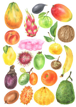 Set of tropical fruits