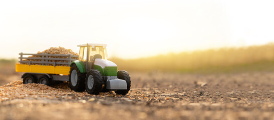 A grain of wheat in a cart of a toy tractor at sunset.	