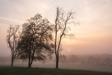 Lovely foggy sunrise in English countryside with soft pastel sky and calm feeling