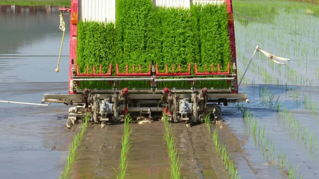 田植え機での田植え作業イメージ