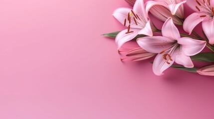Fototapeta premium Pink Flowers on pink background with copy space, Banner Design, Generative AI