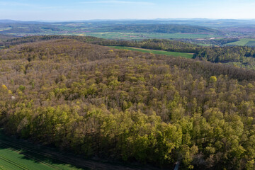 Fototapeta na wymiar View over a Forest between Hesse and Thuringia