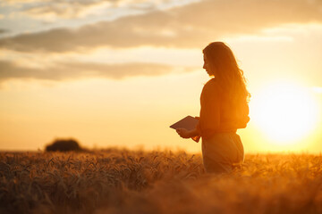 Farm owner with tablet in her hands in wheat field checks quality and progress of harvest at sunset. Smart farm.