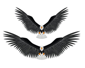 Two bald eagle flying in two catch action drawing in colorful cartoon vector