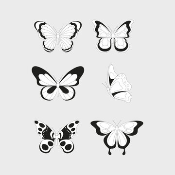 Butterfly outline vector