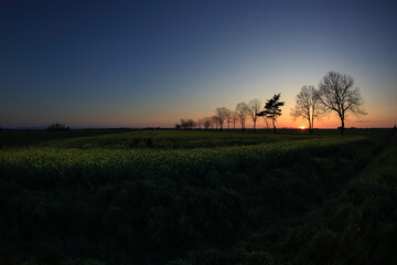 Fototapeta na wymiar Kolorowy zachód słońca nad polami i drzewami.