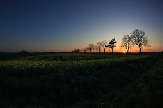 Kolorowy zachód słońca nad polami i drzewami. © Stanisław Błachowicz