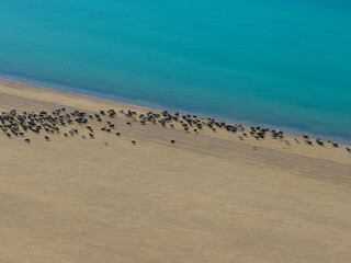 Aerial view of beautiful lake landscape in Tibet,China