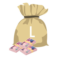 Honduran Lempira Vector Illustration. Honduras money set bundle banknotes. Money bag 500 HNL. Flat style. Isolated on white background. Simple minimal design.