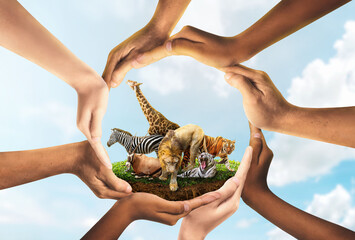 Wildlife Conservation Day. wildlife protection, multiracial human come to build hands in shape of...