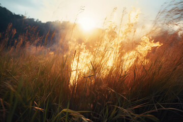 On a hot summer day, dry grass is burning on the field. Burning field with dry grass. Generative AI