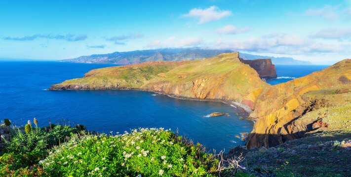 View of the rocks in Ponta de Sao Lourenco, Madeira islands, Portugal. Beautiful scenic view of the green landscape and the atlantic ocean with flowers in the foreground.
