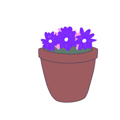 Plant in a pot