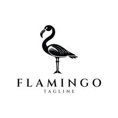 Flamingo logo design vector illustration