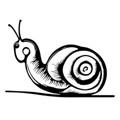 Hand-drawn black vector illustration of one snail on a white background
