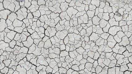 Cracked earth texture and background 