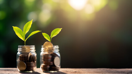 Fototapeta na wymiar Financial Growth Concept - Plant Growing from Coins in a Glass Jar on a Blurred Natural Background