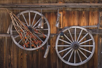 世界遺産飛騨白川郷の春