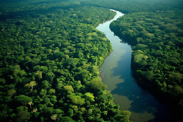 Tropical green lush rainforest near amazon river, top drone view landscape
