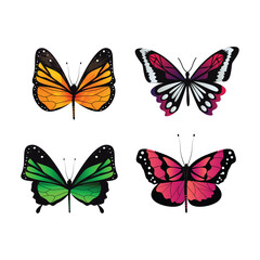 Fototapeta na wymiar set of butterflies isolated