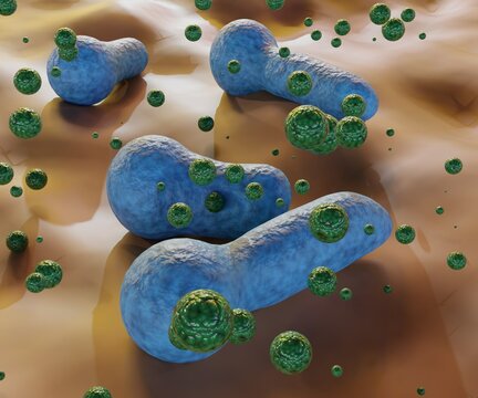 Clostridium  is a rod shape bacterium that produces dangerous toxins (botulinum toxins) under low-oxygen conditions 3d rendering