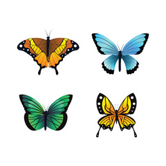 Fototapeta na wymiar beautiful butterfly set