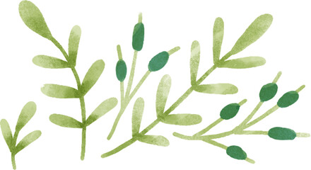 Watercolor illustration, wedding fashion, festive accessories, bridal elements, summer ladies look, clip-art clothing.