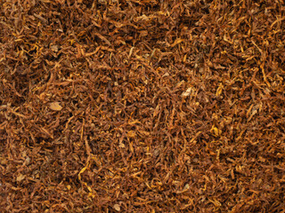 Background texture of tobacco finely chopped cooked processed product. Close-up of tobacco for rolling cigarettes. Place for text or background. Copy paste space for your brand or product and packagin