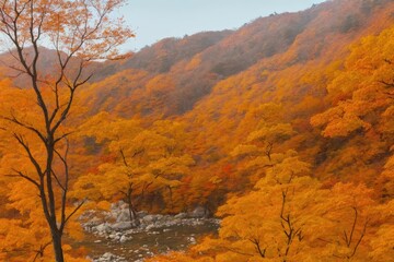 가을 산